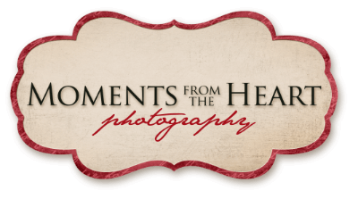 Moments from the Hearth Photography