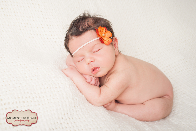 Austin Newborn Photography