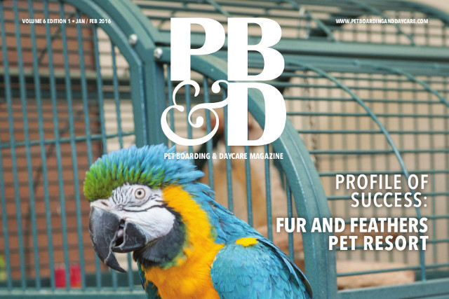 Professional Magazine and Web Photography